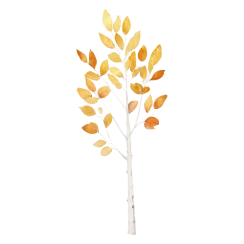 Aspen Tree windswept with golden leaves catching the light, a tall white-trunked aspen with shimmering golden round leaves, watercolor painting, transparent background