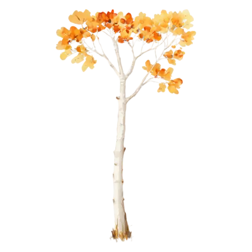 Aspen Tree with pale smooth bark and brilliant yellow foliage, a tall white-trunked aspen with shimmering golden round leaves, watercolor painting, transparent background