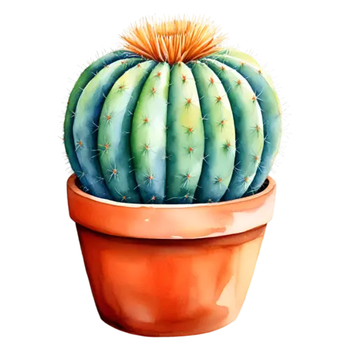 Cactus round barrel cactus in a terracotta pot, potted cacti and desert succulents — barrel, watercolor painting, transparent background