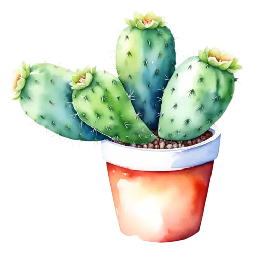 Cactus cluster of three small cacti in one pot, potted cacti and desert succulents — barrel, watercolor painting, transparent background