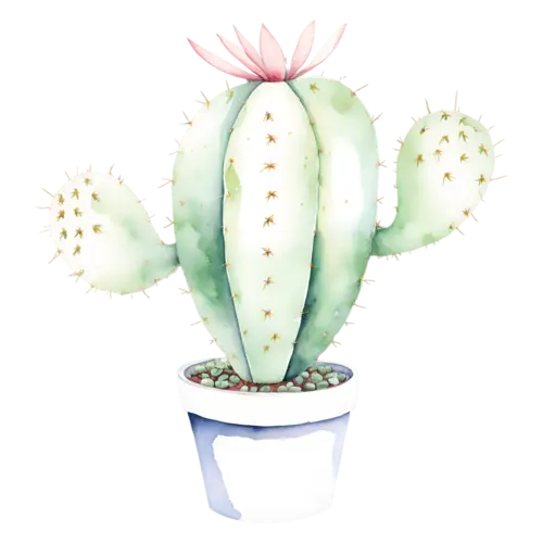 Cactus tall ribbed column cactus in a white pot, potted cacti and desert succulents — barrel, watercolor painting, transparent background