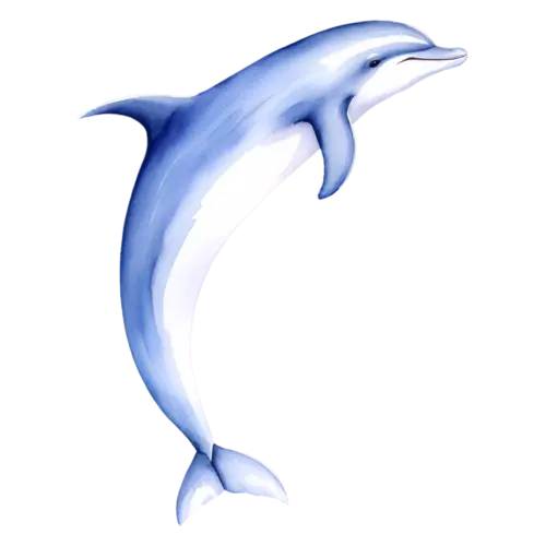 Dolphin gliding horizontally in side profile, smooth bottlenose dolphins, watercolor painting, transparent background