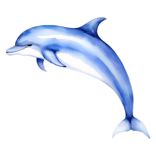 Dolphin curving upward mid-jump, smooth bottlenose dolphins, watercolor painting, transparent background
