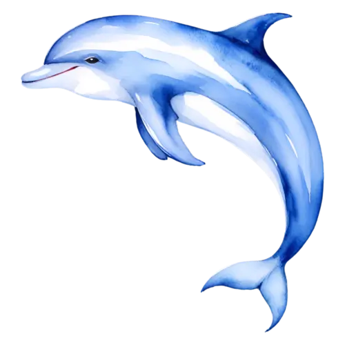 Dolphin leaping with flippers tucked close, smooth bottlenose dolphins, watercolor painting, transparent background