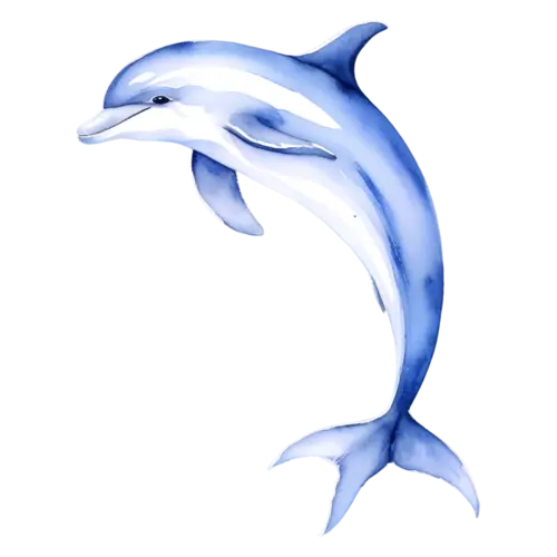 Dolphin swimming in a soft S-curve, smooth bottlenose dolphins, watercolor painting, transparent background