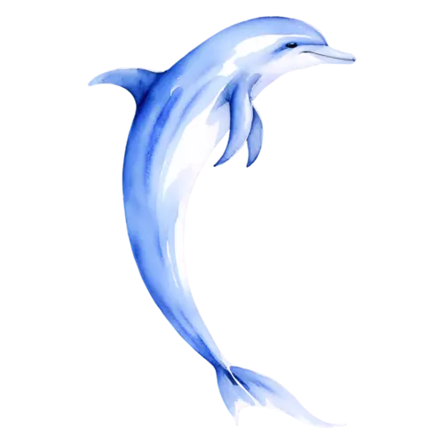 Dolphin front-facing with a rounded nose and friendly eyes, smooth bottlenose dolphins, watercolor painting, transparent background