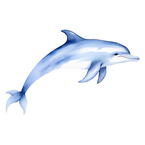 Dolphin arcing through the air in three-quarter view, smooth bottlenose dolphins, watercolor painting, transparent background