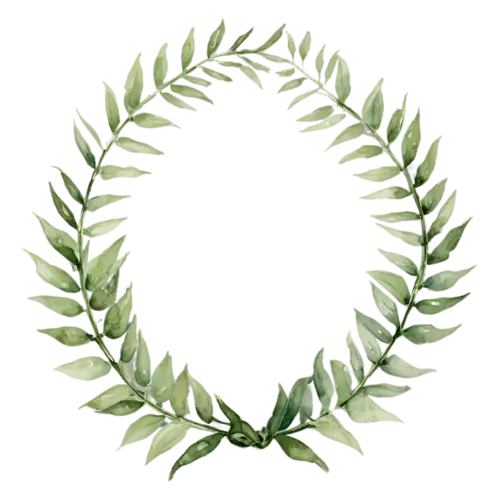 Greenery Wreath of olive branches with small leaves, a circular ring of hand-painted foliage — eucalyptus, watercolor painting, transparent background