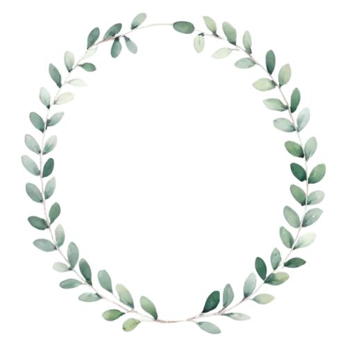 Greenery Wreath of slender willow eucalyptus leaves, a circular ring of hand-painted foliage — eucalyptus, watercolor painting, transparent background