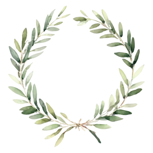 Greenery Wreath of mixed greenery with a few small white buds, a circular ring of hand-painted foliage — eucalyptus, watercolor painting, transparent background