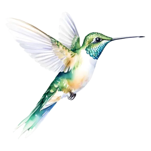 Hummingbird hovering with wings spread, iridescent green back, tiny iridescent hummingbirds with long slender bills and shimmering green, watercolor painting, transparent background
