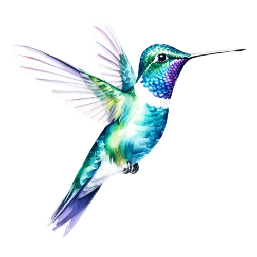 Hummingbird perched on a thin twig with tail raised, tiny iridescent hummingbirds with long slender bills and shimmering green, watercolor painting, transparent background