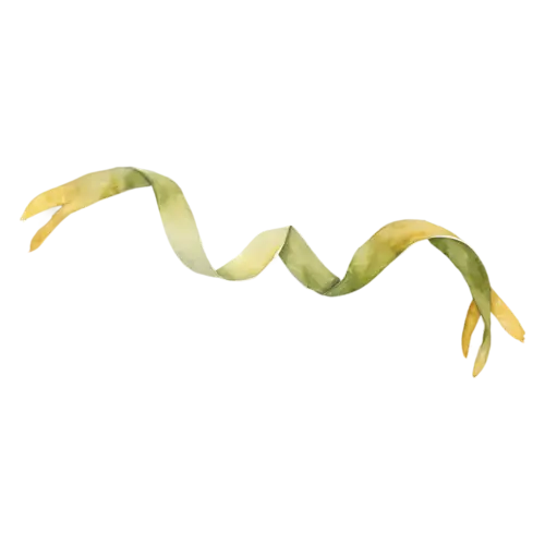 Kelp as a graceful tapering seaweed ribbon, long smooth flat ribbon-like blades in olive green and amber-brown, watercolor painting, transparent background