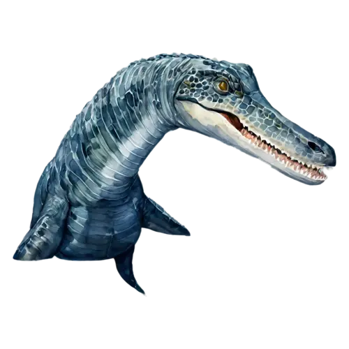 Mosasaurus in a three-quarter view with flippers spread, a giant prehistoric sea reptile with a long streamlined body, watercolor painting, transparent background