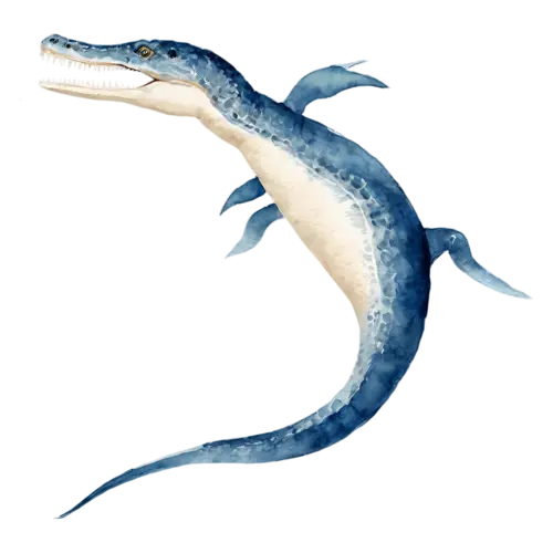 Mosasaurus gliding horizontally, side profile, a giant prehistoric sea reptile with a long streamlined body, watercolor painting, transparent background