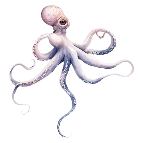 Octopus viewed from above, a rounded mantle and eight curling tentacles in soft coral, watercolor painting, transparent background