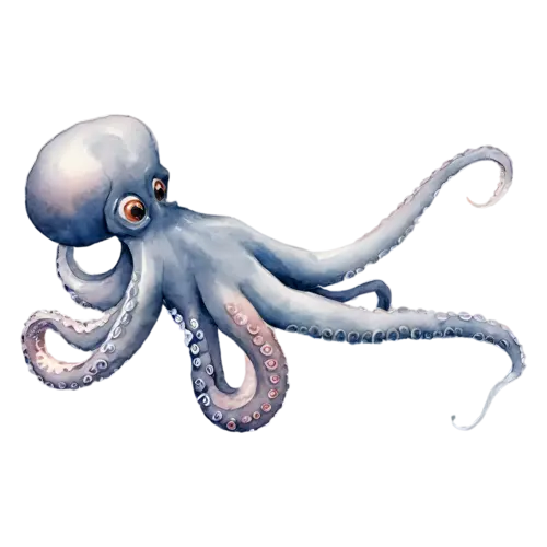 Octopus with tentacles curling upward, a rounded mantle and eight curling tentacles in soft coral, watercolor painting, transparent background