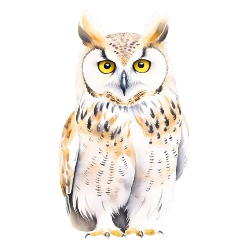 Owl round white bird perched, bright golden eyes, round-faced raptors with large forward-facing eyes, watercolor painting, transparent background