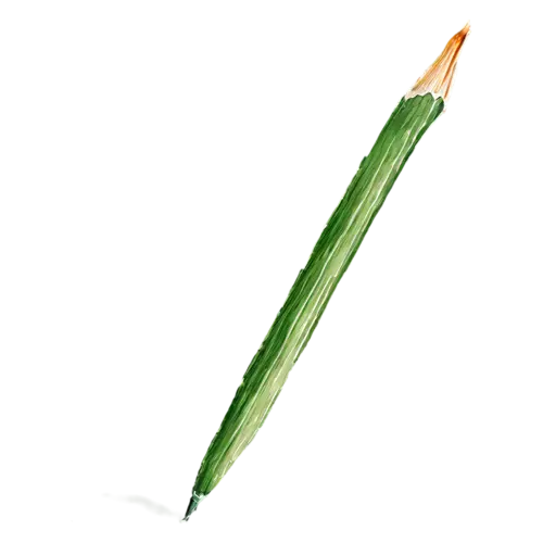 Pencil as a short well-used pencil, classic wooden writing and coloring pencils in warm yellows, watercolor painting, transparent background