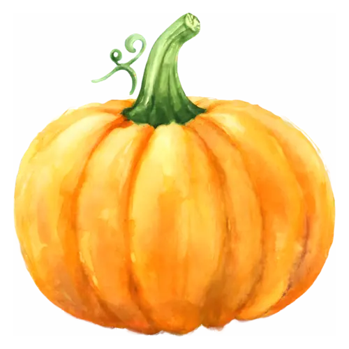 Pumpkin classic round orange variety with a curly green stem, ribbed classic and heirloom pumpkins, watercolor painting, transparent background