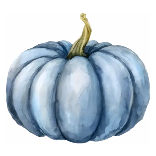 Pumpkin blue-grey Jarrahdale variety with deep ribs, ribbed classic and heirloom pumpkins, watercolor painting, transparent background