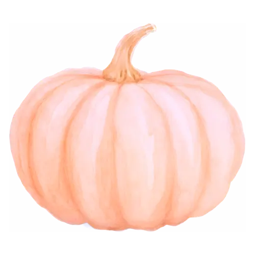 Pumpkin pale peach Long Island cheese variety, ribbed classic and heirloom pumpkins, watercolor painting, transparent background