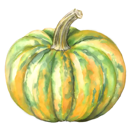 Pumpkin striped green-and-orange heirloom variety, ribbed classic and heirloom pumpkins, watercolor painting, transparent background