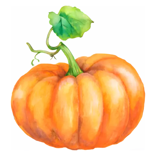 Pumpkin classic orange variety with a large green leaf on the vine, ribbed classic and heirloom pumpkins, watercolor painting, transparent background