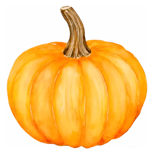 Pumpkin small bright orange variety with a dried brown stem, ribbed classic and heirloom pumpkins, watercolor painting, transparent background
