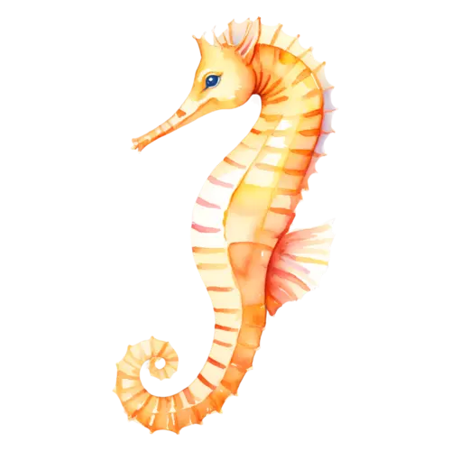 Seahorse upright facing right, a curled tail, watercolor painting, transparent background