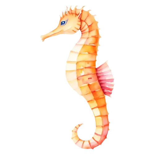 Seahorse upright facing left, a curled tail, watercolor painting, transparent background