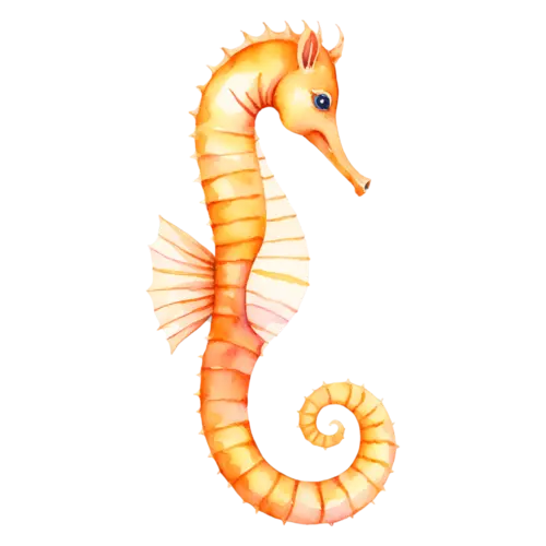 Seahorse with a tightly curled tail, a curled tail, watercolor painting, transparent background