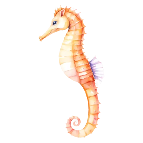 Seahorse in a gentle S-curve, a curled tail, watercolor painting, transparent background