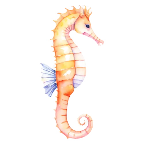 Seahorse in three-quarter view, a curled tail, watercolor painting, transparent background