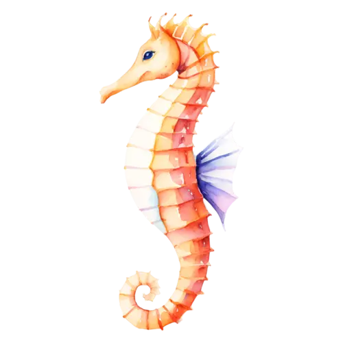 Seahorse in a soft curved pose, a curled tail, watercolor painting, transparent background