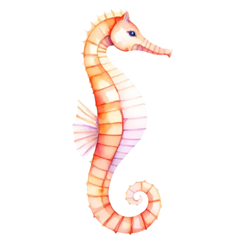 Seahorse viewed from the side, a curled tail, watercolor painting, transparent background