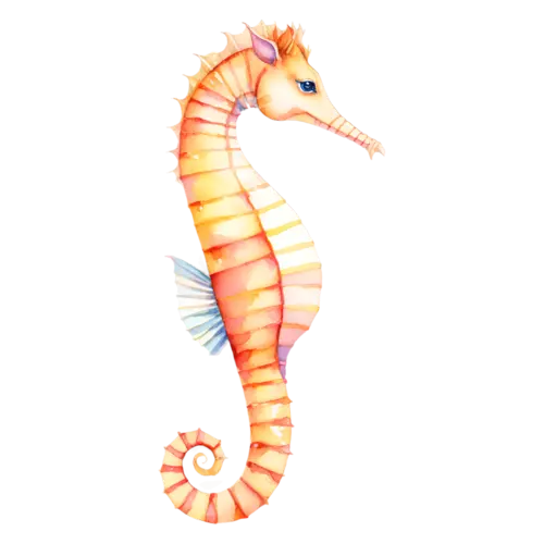 Seahorse in a delicate upright pose, a curled tail, watercolor painting, transparent background