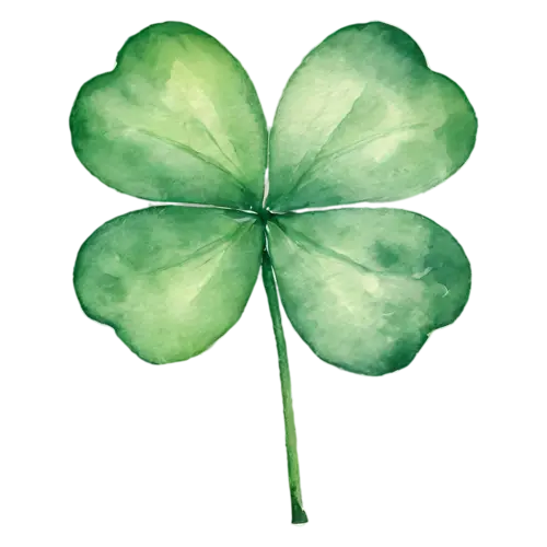 Shamrock as a delicate clover stem with a curling tip, rounded three-leaf and lucky four-leaf clovers in fresh, watercolor painting, transparent background