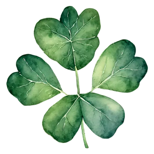 Shamrock as a lush three-leaf clover with deep green veins, rounded three-leaf and lucky four-leaf clovers in fresh, watercolor painting, transparent background