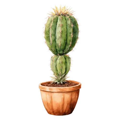 Succulent zebra haworthia in a small pot, plump rosettes and fleshy leaves in soft sage greens, watercolor painting, transparent background