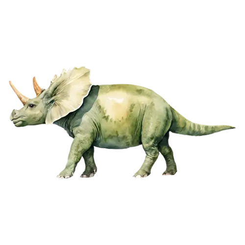 Triceratops standing and looking to the side, a sturdy four-legged plant-eater with three horns and a large bony neck frill, watercolor painting, transparent background