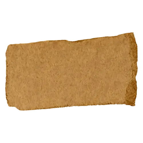 Vintage Ephemera as a torn scrap of an old ledger page, aged, watercolor painting, transparent background