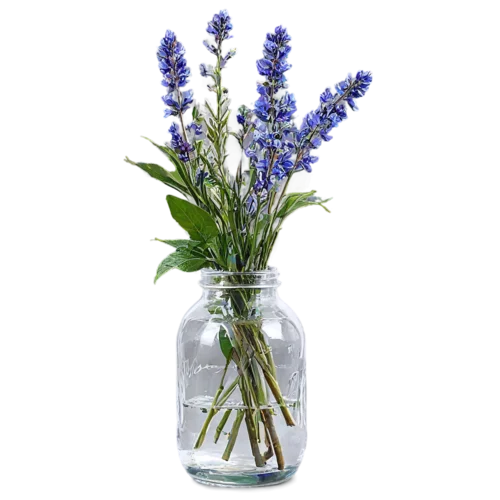 Mixed wildflower bouquet with poppies and cornflowers in a jar, watercolor style, transparent background