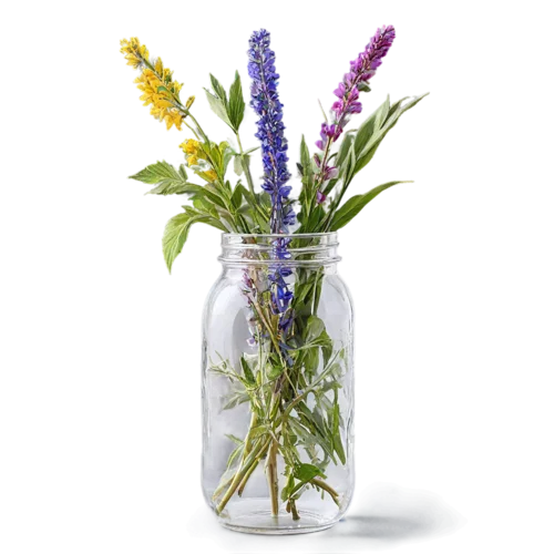 Soft pink and white wildflower bouquet in a mason jar, watercolor painting, transparent background