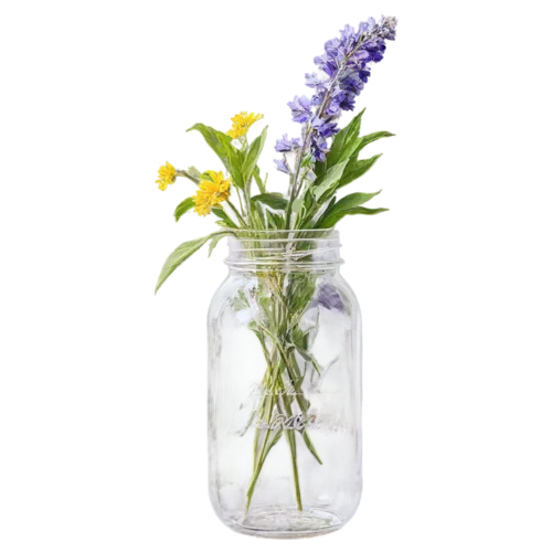 Cheerful yellow and orange wildflowers in a glass jar, watercolor clipart, transparent background