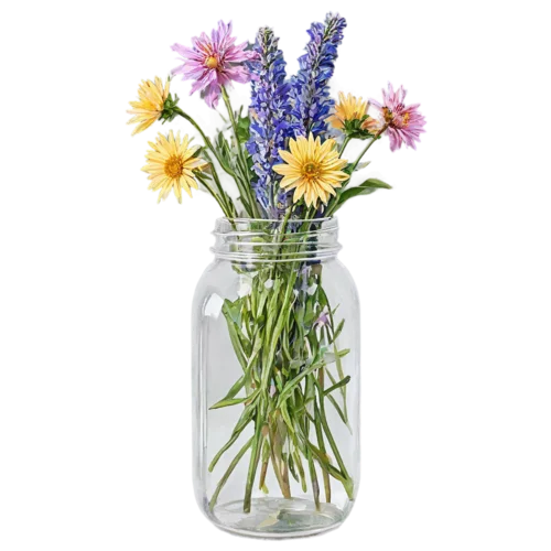 Rustic wildflower bouquet with thistles and dried grasses in a jar, watercolor painting, transparent background