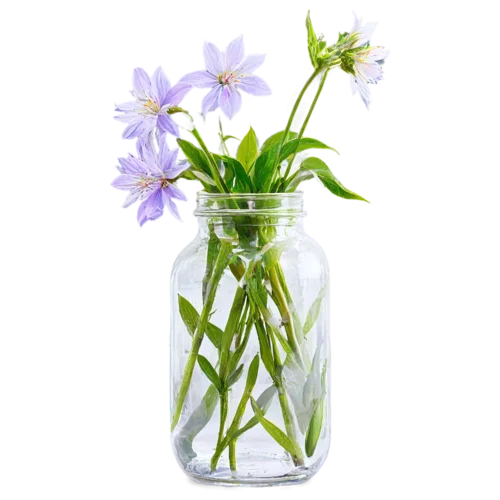 Minimalist wildflower stems with a few blooms in a jar, watercolor clipart, transparent background