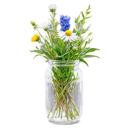 Lush wildflower arrangement with ferns and berries in a glass jar, watercolor style, transparent background