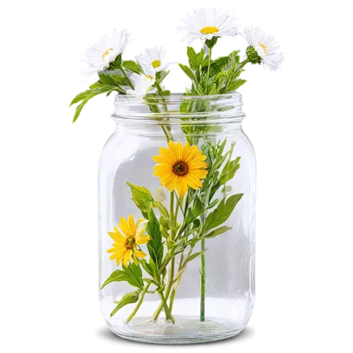 Overflowing wildflower bouquet with peonies and garden roses in a jar, watercolor painting, transparent background